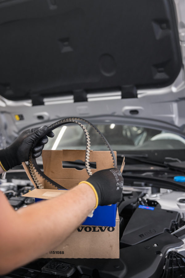 Nowy pasek rozrządu Volvo wyjmowany przez mechanika z pudełka.
